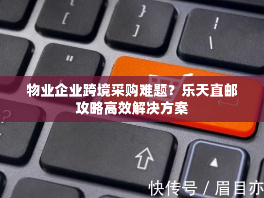 物业企业跨境采购难题？乐天直邮攻略高效解决方案