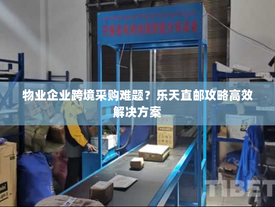 物业企业跨境采购难题?乐天直邮攻略高效解决方案 物业企业跨境采购难题?乐天直邮攻略高效解决方案