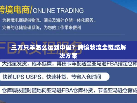 三万只羊怎么运到中国？跨境物流全链路解决方案