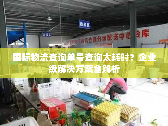 国际物流查询单号查询太耗时？企业级解决方案全解析