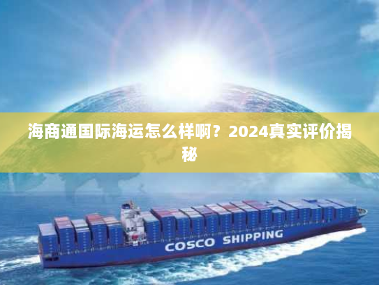 海商通国际海运怎么样啊？2024真实评价揭秘