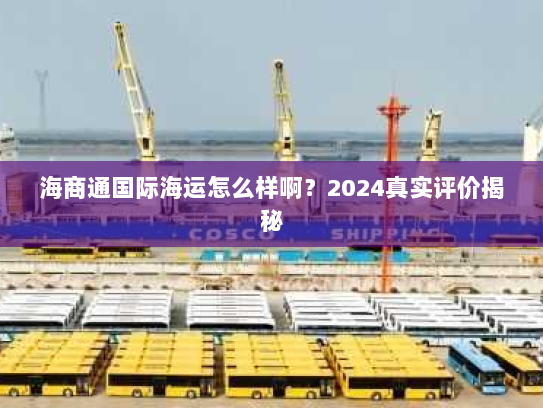 海商通国际海运怎么样啊?2024真实评价揭秘 海商通国际海运怎么样啊?2024真实评价揭秘