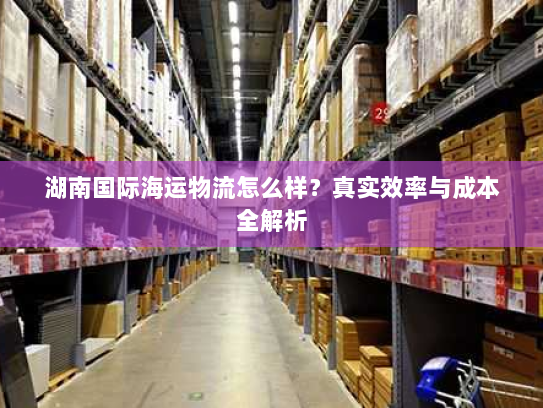 湖南国际海运物流怎么样？真实效率与成本全解析