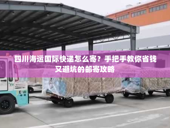 四川海运国际快递怎么寄?手把手教你省钱又避坑的邮寄攻略 四川海运国际快递怎么寄?手把手教你省钱又避坑的邮寄攻略