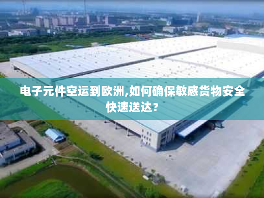 电子元件空运到欧洲,如何确保敏感货物安全快速送达? 电子元件空运到欧洲,如何确保敏感货物安全快速送达?