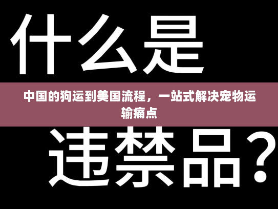 中国的狗运到美国流程,一站式解决宠物运输痛点 中国的狗运到美国流程,一站式解决宠物运输痛点