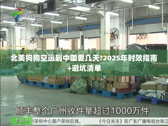北美狗狗空运到中国要几天?2025年时效指南+避坑清单 北美狗狗空运到中国要几天?2025年时效指南+避坑清单