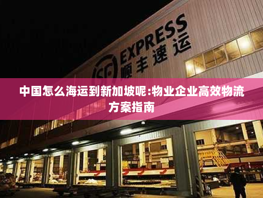 中国怎么海运到新加坡呢:物业企业高效物流方案指南 中国怎么海运到新加坡呢:物业企业高效物流方案指南