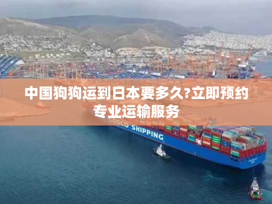中国狗狗运到日本要多久?立即预约专业运输服务