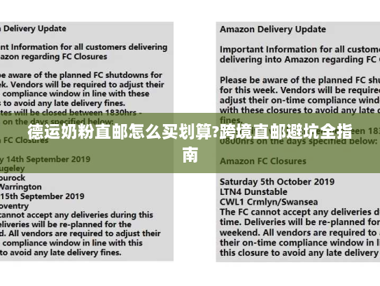 德运奶粉直邮怎么买划算?跨境直邮避坑全指南 德运奶粉直邮怎么买划算?跨境直邮避坑全指南