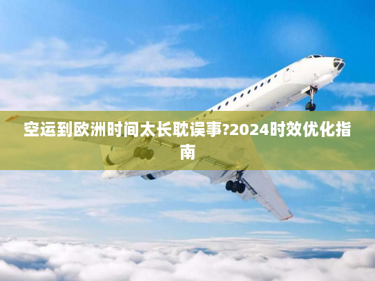 空运到欧洲时间太长耽误事?2024时效优化指南