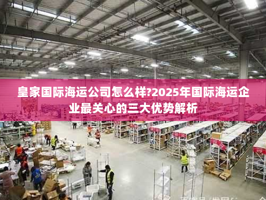 皇家国际海运公司怎么样?2025年国际海运企业最关心的三大优势解析