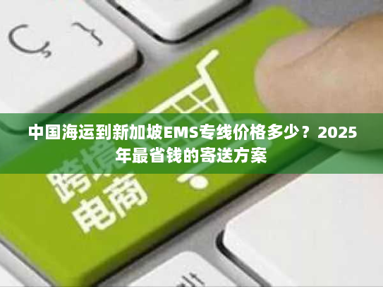 中国海运到新加坡EMS专线价格多少？2025年最省钱的寄送方案