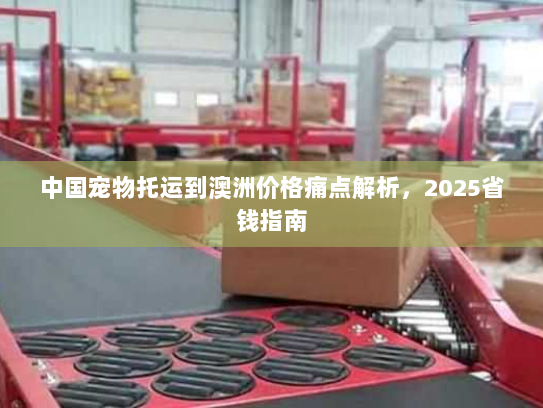 中国宠物托运到澳洲价格痛点解析，2025省钱指南