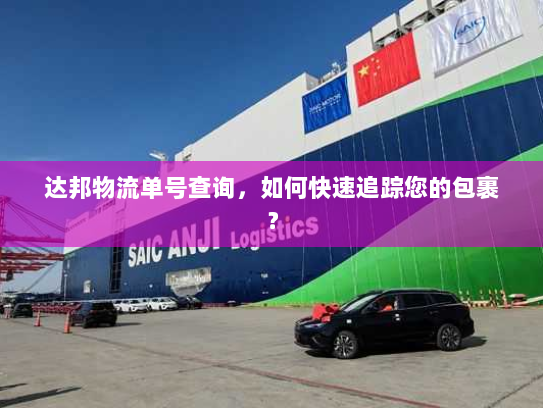 达邦物流单号查询，如何快速追踪您的包裹？