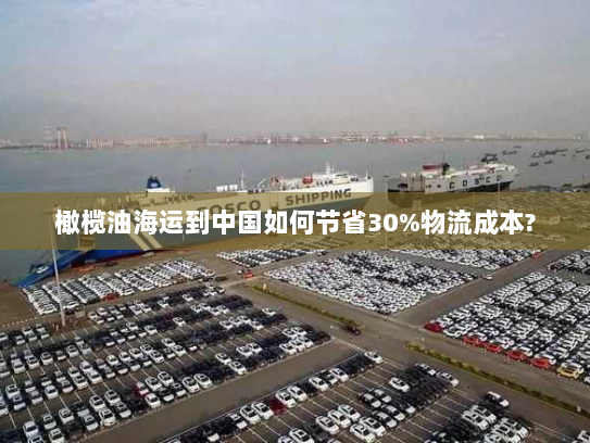 橄榄油海运到中国如何节省30%物流成本? 橄榄油海运到中国如何节省30%物流成本?