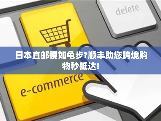 日本直邮慢如龟步?顺丰助您跨境购物秒抵达!