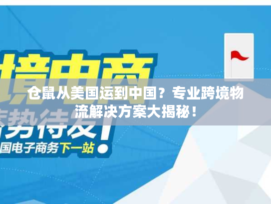 仓鼠从美国运到中国?专业跨境物流解决方案大揭秘! 仓鼠从美国运到中国?专业跨境物流解决方案大揭秘!