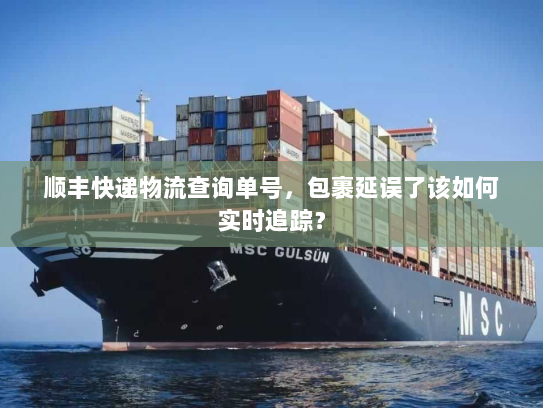 顺丰快递物流查询单号,包裹延误了该如何实时追踪? 顺丰快递物流查询单号,包裹延误了该如何实时追踪?