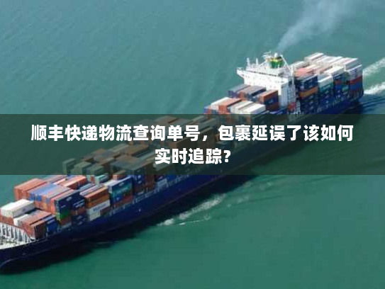 顺丰快递物流查询单号,包裹延误了该如何实时追踪? 顺丰快递物流查询单号,包裹延误了该如何实时追踪?