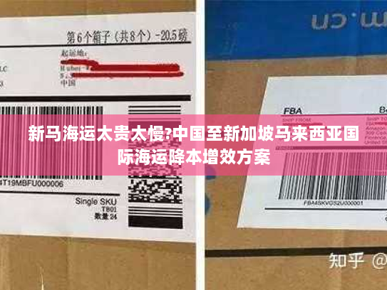 新马海运太贵太慢?中国至新加坡马来西亚国际海运降本增效方案 新马海运太贵太慢?中国至新加坡马来西亚国际海运降本增效方案