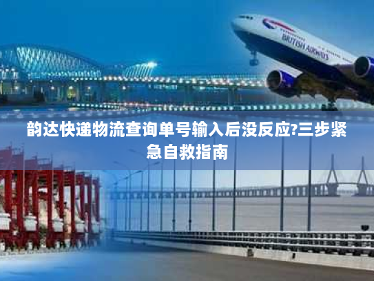 韵达快递物流查询单号输入后没反应?三步紧急自救指南