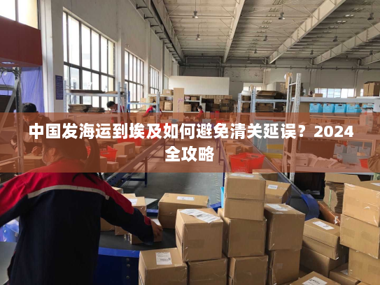 中国发海运到埃及如何避免清关延误?2024全攻略 中国发海运到埃及如何避免清关延误?2024全攻略