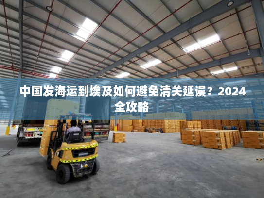 中国发海运到埃及如何避免清关延误?2024全攻略 中国发海运到埃及如何避免清关延误?2024全攻略