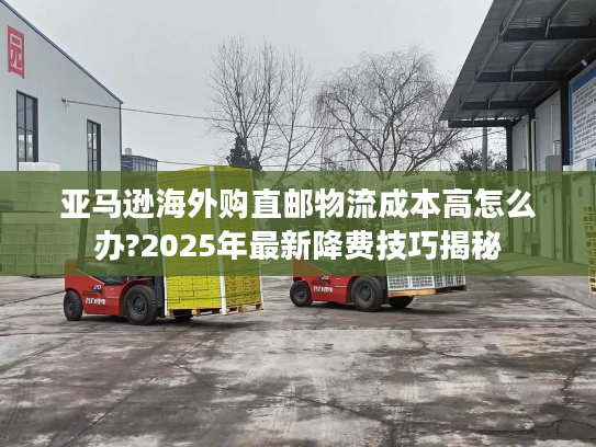 亚马逊海外购直邮物流成本高怎么办?2025年最新降费技巧揭秘