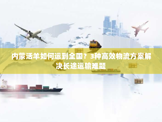 内蒙活羊如何运到全国？3种高效物流方案解决长途运输难题