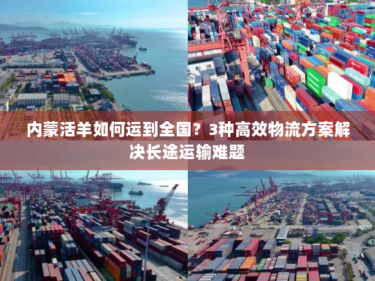 内蒙活羊如何运到全国？3种高效物流方案解决长途运输难题