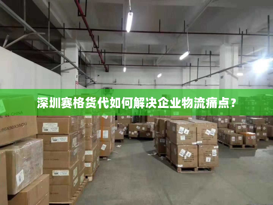 深圳赛格货代如何解决企业物流痛点? 深圳赛格货代如何解决企业物流痛点?