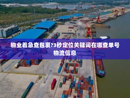 物业着急查包裹?3秒定位关键词在哪查单号物流信息 物业着急查包裹?3秒定位关键词在哪查单号物流信息