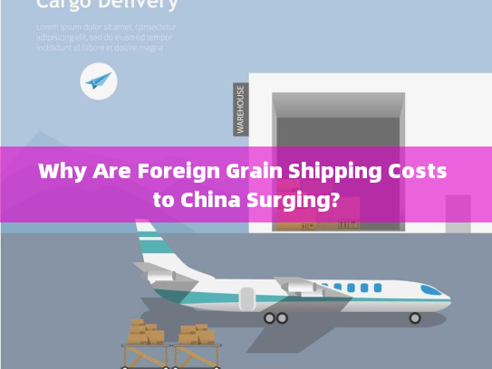 Why Are Foreign Grain Shipping Costs to China Surging? Why Are Foreign Grain Shipping Costs to China Surging?