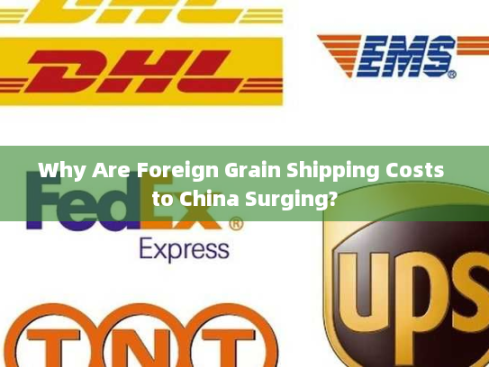 Why Are Foreign Grain Shipping Costs to China Surging? Why Are Foreign Grain Shipping Costs to China Surging?