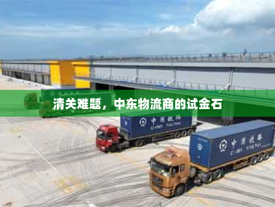 清关难题,中东物流商的试金石 清关难题,中东物流商的试金石