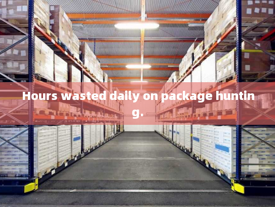 Hours wasted daily on package hunting. Hours wasted daily on package hunting.