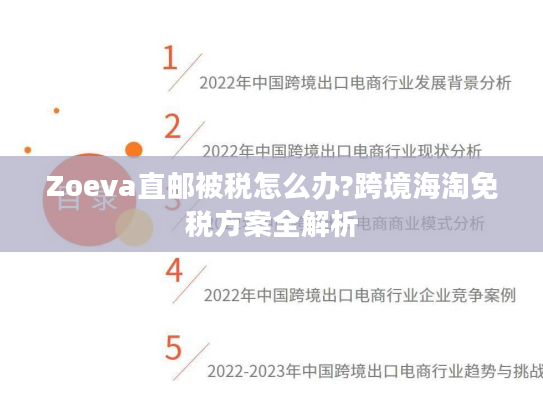 Zoeva直邮被税怎么办?跨境海淘免税方案全解析