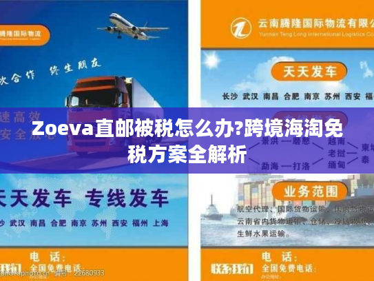Zoeva直邮被税怎么办?跨境海淘免税方案全解析
