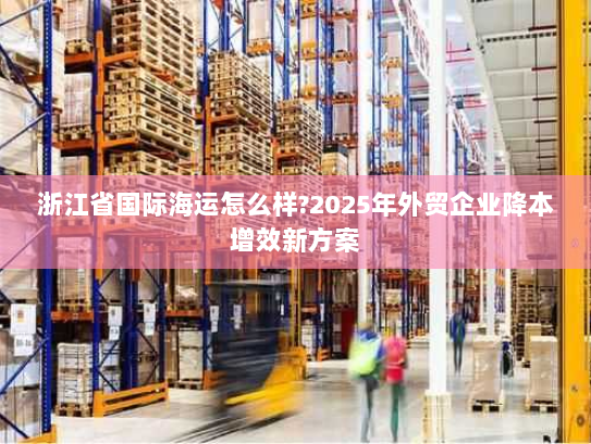 浙江省国际海运怎么样?2025年外贸企业降本增效新方案