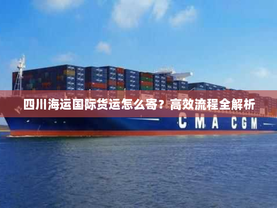 四川海运国际货运怎么寄？高效流程全解析