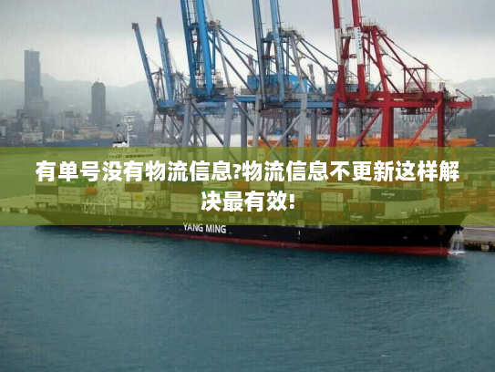 有单号没有物流信息?物流信息不更新这样解决最有效! 有单号没有物流信息?物流信息不更新这样解决最有效!