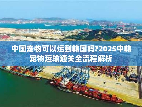中国宠物可以运到韩国吗?2025中韩宠物运输通关全流程解析 中国宠物可以运到韩国吗?2025中韩宠物运输通关全流程解析
