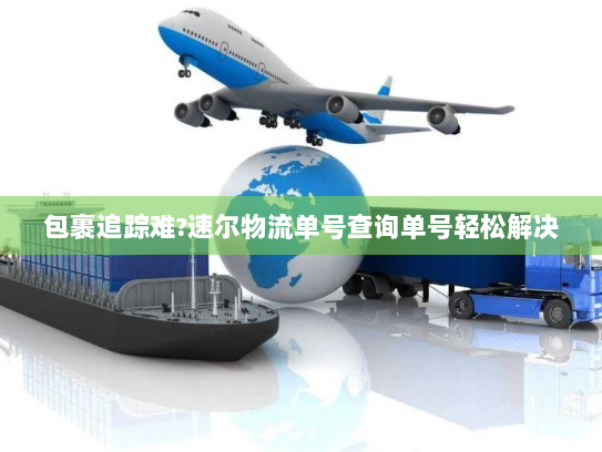 包裹追踪难?速尔物流单号查询单号轻松解决