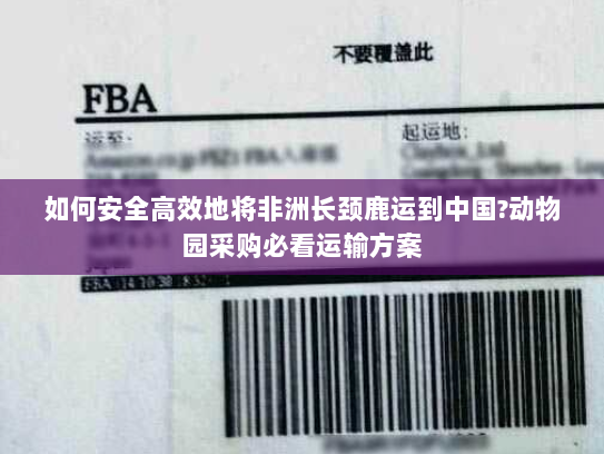 如何安全高效地将非洲长颈鹿运到中国?动物园采购必看运输方案 如何安全高效地将非洲长颈鹿运到中国?动物园采购必看运输方案