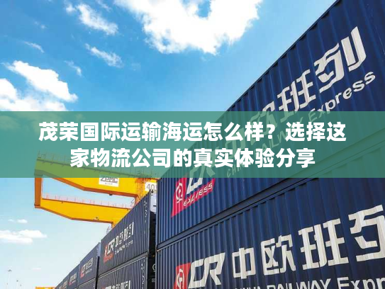 茂荣国际运输海运怎么样？选择这家物流公司的真实体验分享