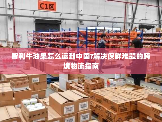 智利牛油果怎么运到中国?解决保鲜难题的跨境物流指南