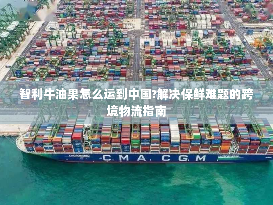 智利牛油果怎么运到中国?解决保鲜难题的跨境物流指南