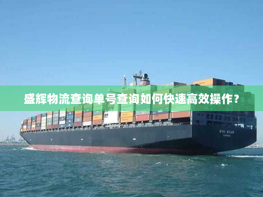 盛辉物流查询单号查询如何快速高效操作？