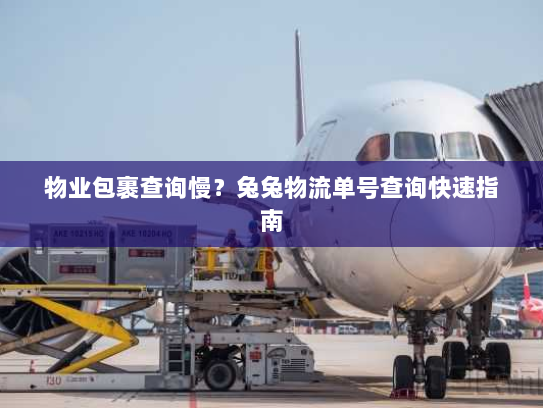 物业包裹查询慢?兔兔物流单号查询快速指南 物业包裹查询慢?兔兔物流单号查询快速指南